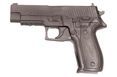 BH DEMONSTRATOR GUN SIG 226 GRAY - Click Image to Close