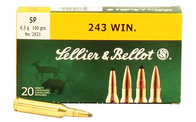 S&B 243WIN 100GR SP 20/500 - Click Image to Close